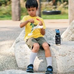 Klean Kanteen Insulated Kid Classic (355ml) - Sugarplum Fairy -Camping Sales Shop K12KVCPPS PD boys waterbottle airplane raphics lifestyle 1 f120d1f2 5790 40e2 8a6e cf45f2764df4